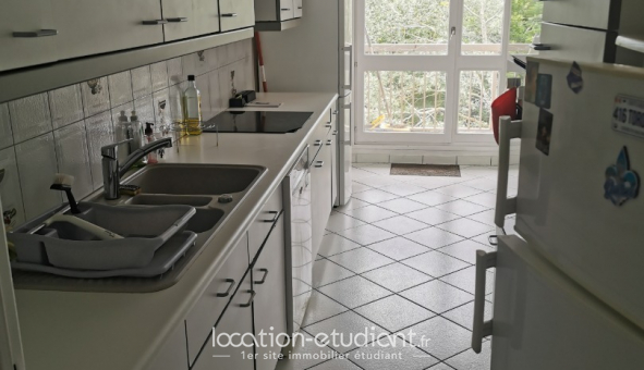 Colocation tudiante Studio à Cergy (95000)