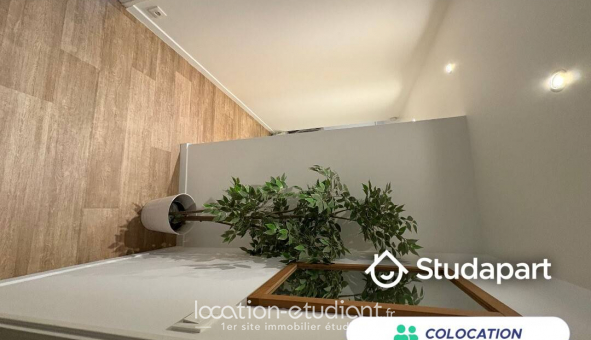 Colocation tudiante Studio à Cergy (95000)