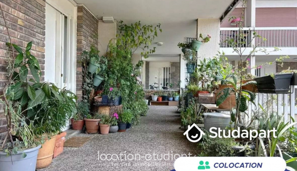 Colocation tudiante Studio à Cergy (95000)