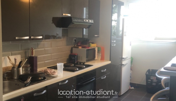 Colocation tudiante Duplex à Cergy (95000)