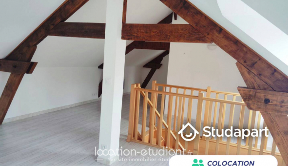 Colocation tudiante Studio à Chteauneuf sur Cher (18190)