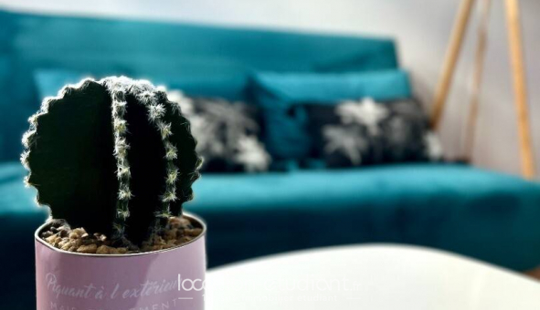 Colocation tudiante Studio à Cholet (49280)