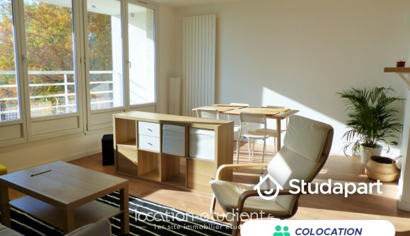 Colocation �tudiante Duplex &agrave; �vry (91000)