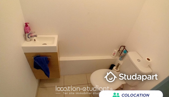 Colocation étudiante Studio à Fegersheim (67640)
