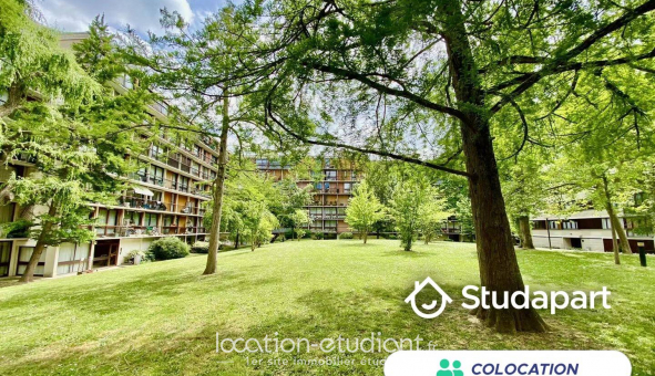Colocation �tudiante Studio &agrave; Fontenay le Fleury (78330)