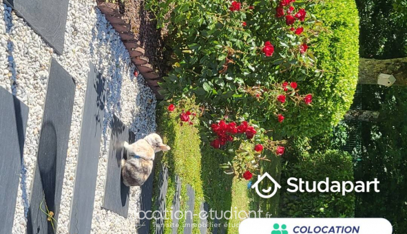 Colocation étudiante Studio à Gradignan (33170)