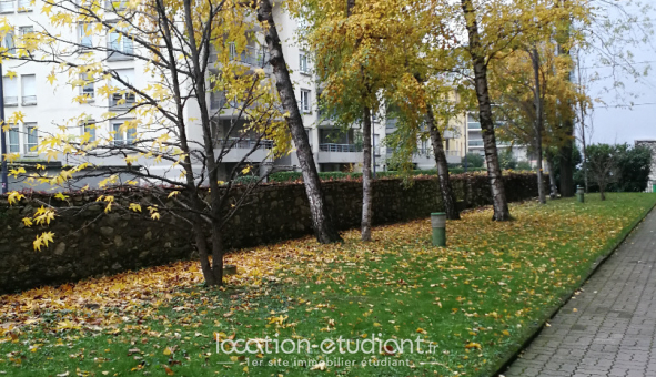 Colocation �tudiante T3 &agrave; Grenoble (38000)