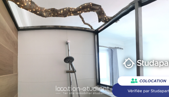 Colocation étudiante T3 &agrave; Grenoble (38000)
