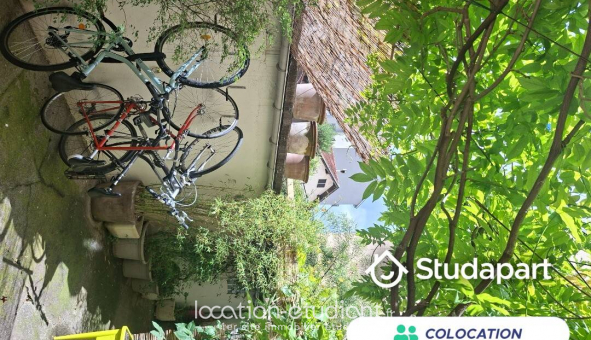 Colocation �tudiante Studio &agrave; Grenoble (38000)