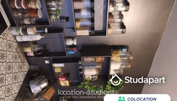 Colocation tudiante Studio à Herblay (95220)