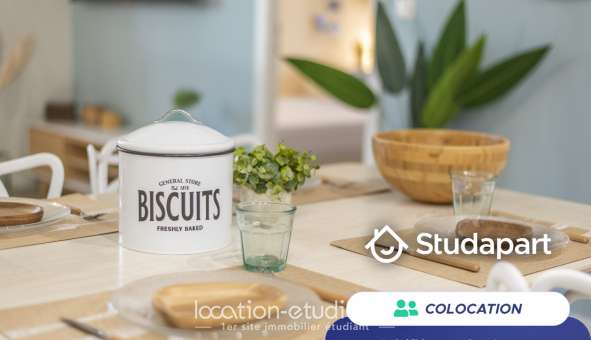 Colocation tudiante Studio à Illkirch Graffenstaden (67400)