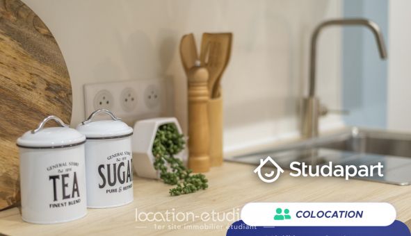 Colocation tudiante Studio à Illkirch Graffenstaden (67400)