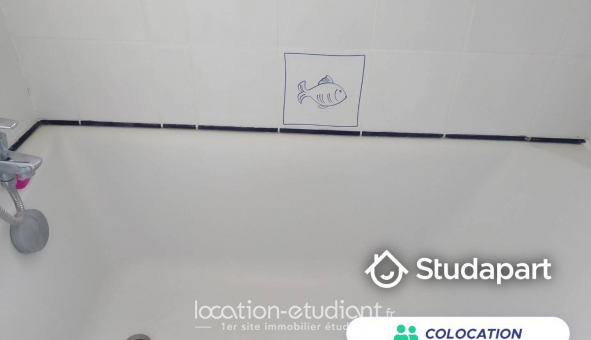 Colocation tudiante T3 à Issy les Moulineaux (92130)