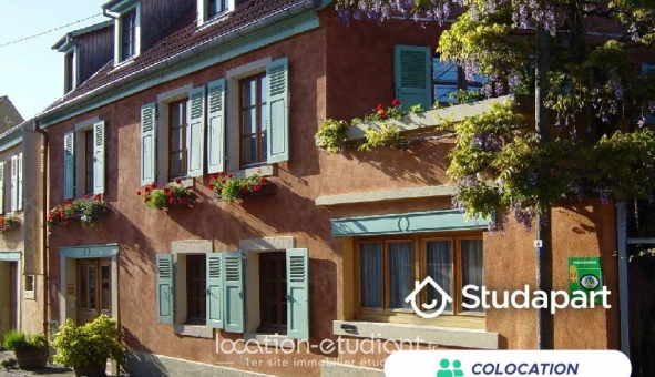 Colocation �tudiante Studio &agrave; Katzenthal (68230)