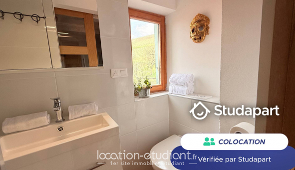 Colocation �tudiante Studio &agrave; Katzenthal (68230)