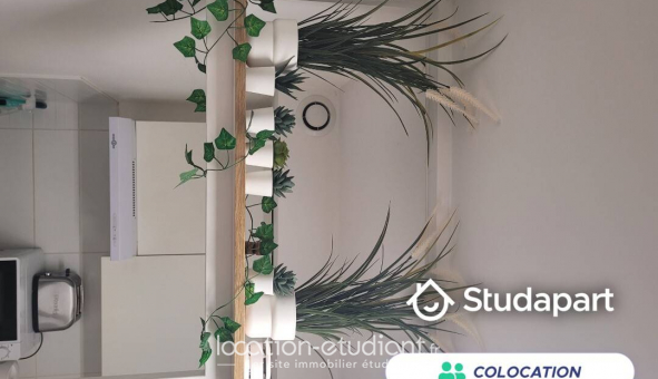 Colocation �tudiante Chambre dans une colocation de 13m2