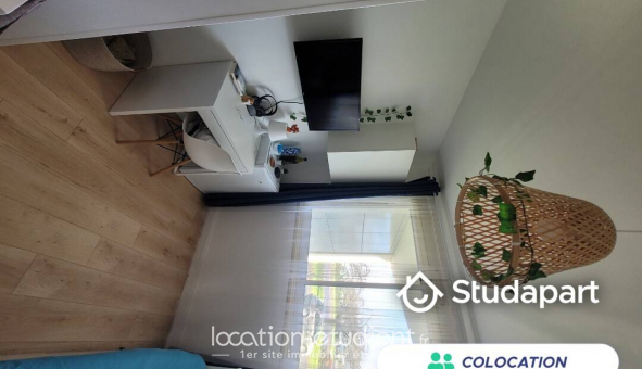 Colocation �tudiante Studio &agrave; La Roche sur Yon (85000)