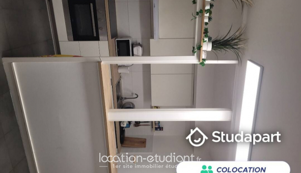 Colocation �tudiante Studio &agrave; La Roche sur Yon (85000)