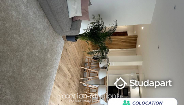 Colocation tudiante Studio à Le Chesnay (78150)
