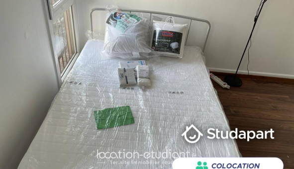 Colocation �tudiante Studio &agrave; Le M�e sur Seine (77350)