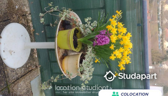 Colocation tudiante Studio à Le Me sur Seine (77350)