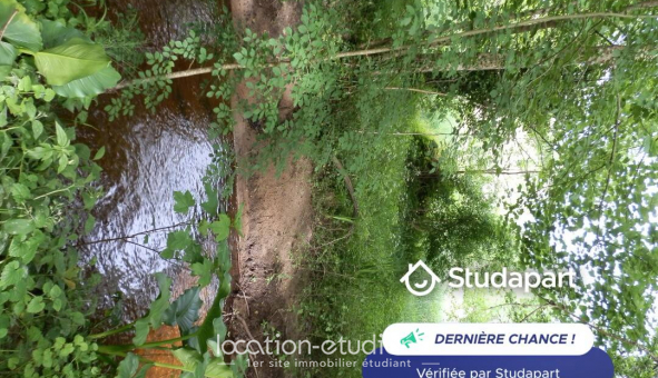 Colocation tudiante Studio à Lognan (33850)