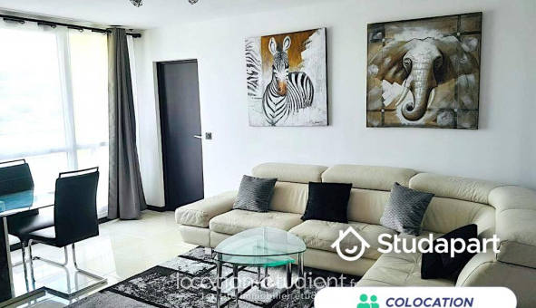 Colocation tudiante Chambre dans une colocation de 12m2
