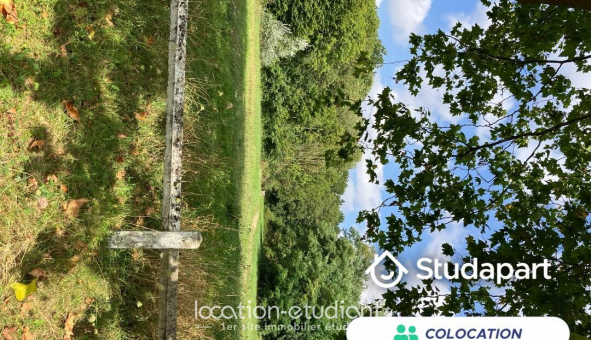Colocation tudiante Studio à Les Ulis (91940)