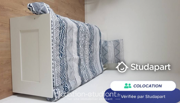 Colocation tudiante Studio à Lille (59800)
