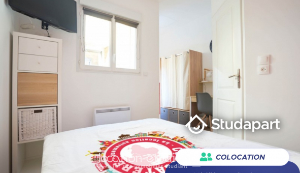 Colocation tudiante Studio à Lille (59800)