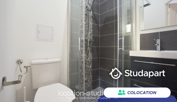 Colocation tudiante Studio à Lille (59800)
