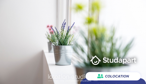 Colocation tudiante Studio à Lille (59800)