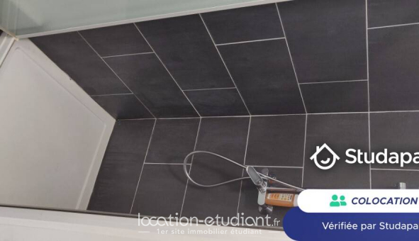 Colocation �tudiante Duplex &agrave; Lille (59800)