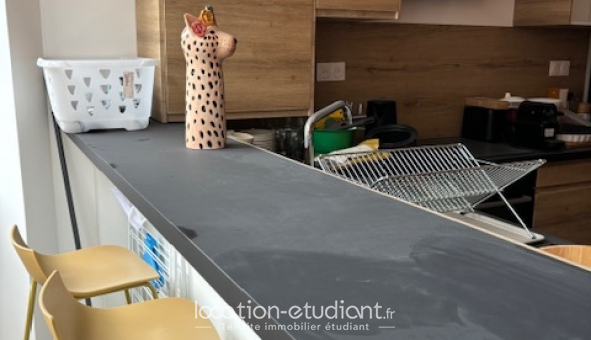 Colocation tudiante Studio à Lille (59800)