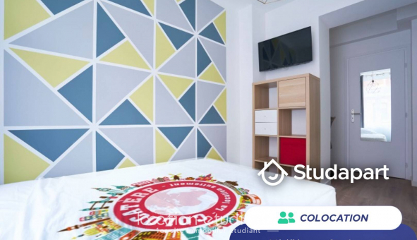 Colocation tudiante Studio à Lille (59800)