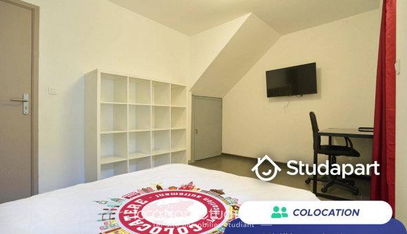 Colocation tudiante Studio à Lille (59800)