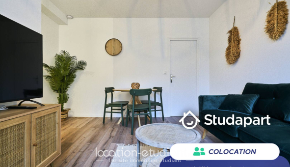 Colocation étudiante Studio &agrave; Lille (59800)
