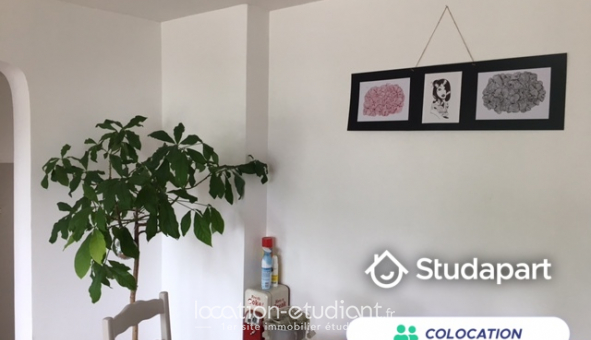 Colocation �tudiante Studio &agrave; Lille (59800)