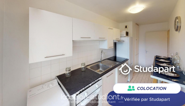 Colocation tudiante Duplex à Lille (59800)