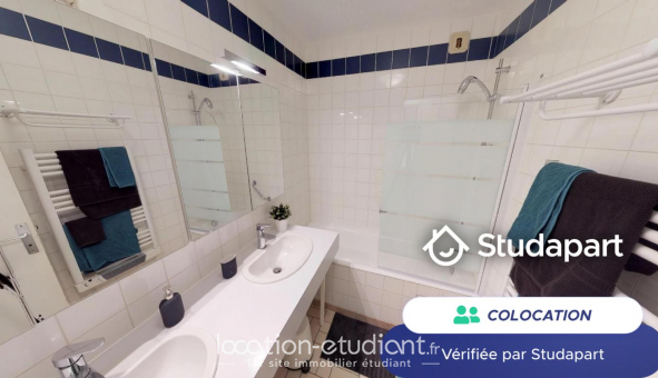 Colocation tudiante Duplex à Lille (59800)
