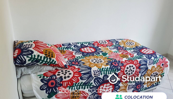 Colocation tudiante Studio à Lille (59800)