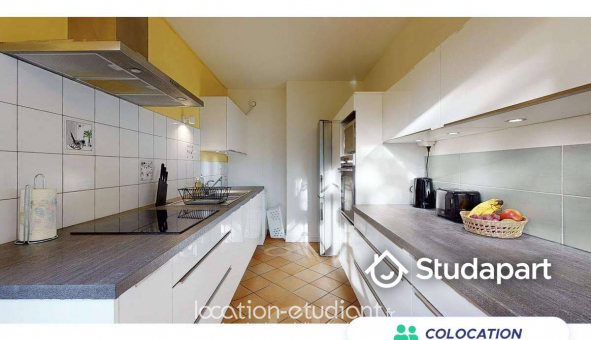 Colocation tudiante Studio à Lille (59800)