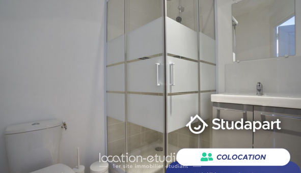 Colocation tudiante T4 à Lille (59800)