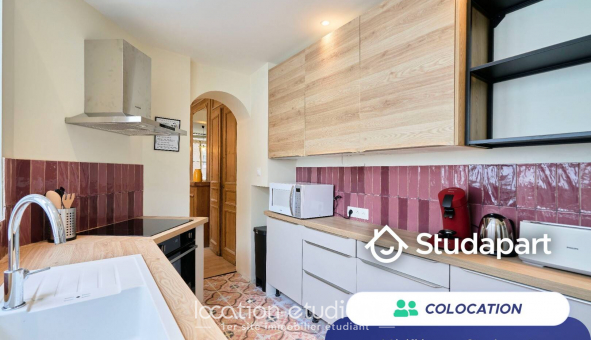 Colocation tudiante Studio à Lille (59800)