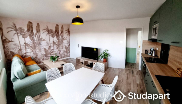 Colocation tudiante Studio à Lille (59800)