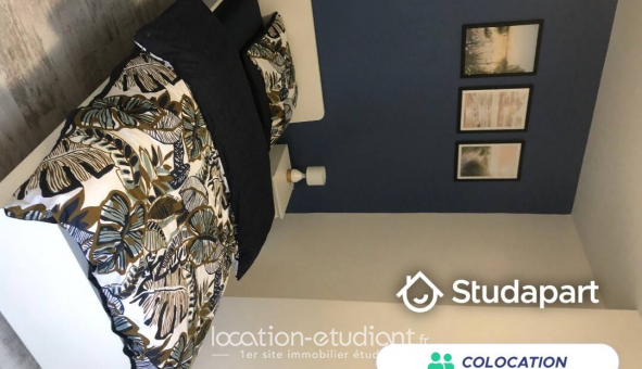 Colocation tudiante Chambre dans une colocation de 15m2