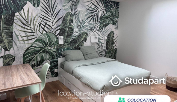 Colocation tudiante Studio à Lille (59800)