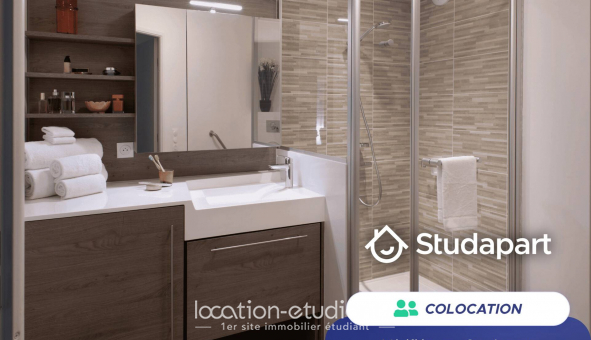 Colocation tudiante Studio à Lille (59800)