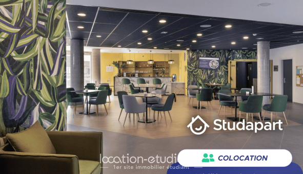 Colocation tudiante Studio à Lille (59800)
