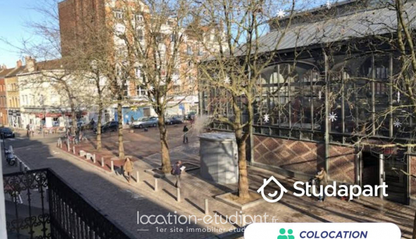 Colocation tudiante Studio à Lille (59800)